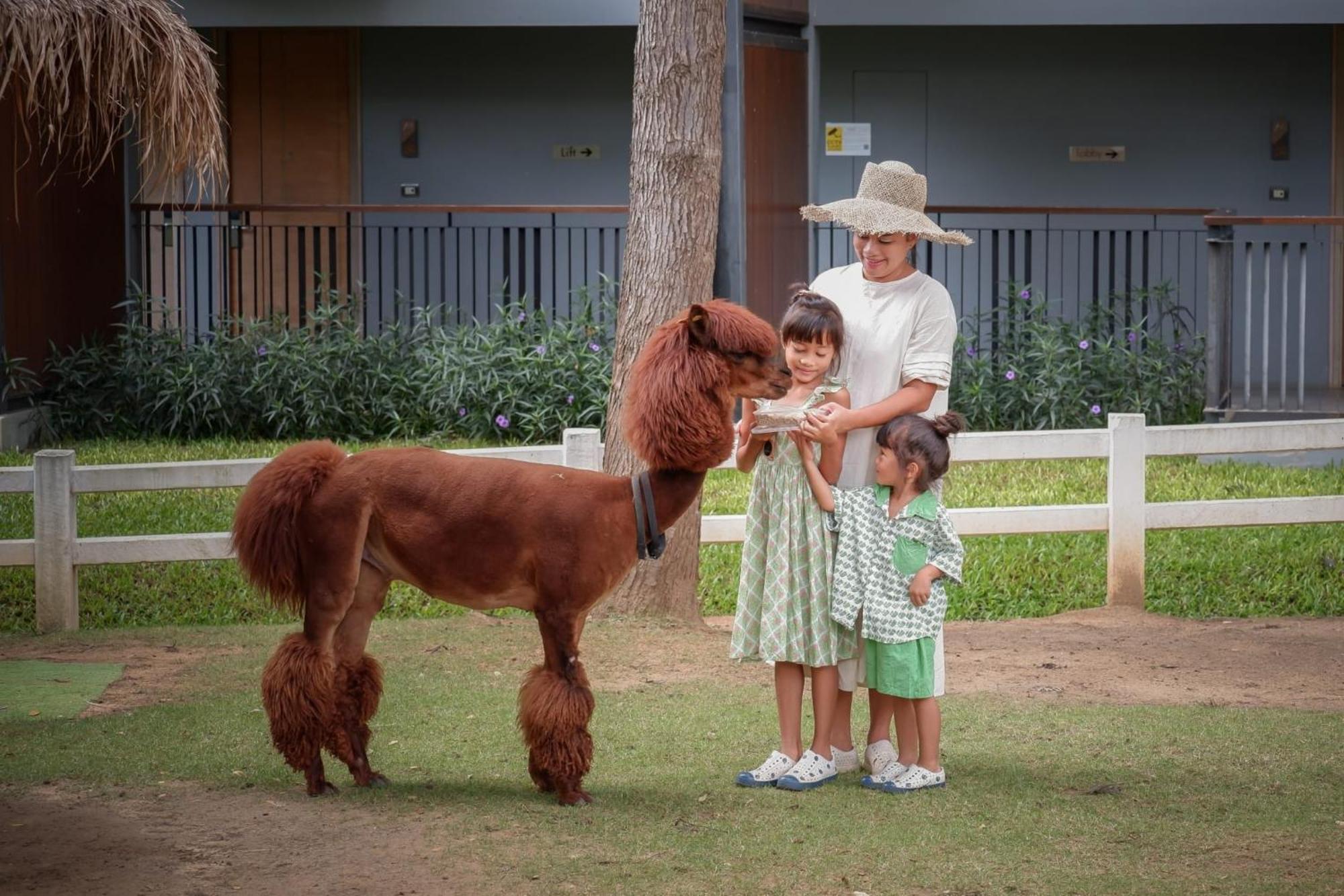 Hotel Dusitd2 Khao Yai Mu Si Zewnętrze zdjęcie